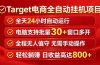 Target电商全自动挂机项目全天自动运行电脑可批量30+窗口运行日收益入800+