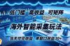 海外智能采集玩法,低门槛高单价可矩阵,当天可见收益,单窗口30+