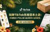 玩转TikTok东南亚本土店：市场概况+产品上架+起店折扣+出单发货，从0到1全套实操教学
