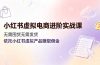 小红书虚拟电商进阶实战课，无需囤货无需发货，依托小红书虚拟产品赚取佣金