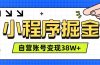 微信小程序掘金，团队自营小程序累计变现38W+，稳定运营三年，一部手机即可操作