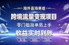 海外蓝海赛道 跨境流量变现项目 收益实时到账 零门槛简单易上手