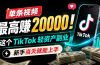 单条视频最高赚 20000!这个 TikTok 轻资产副业,新手当天就能上手