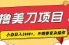撸美刀，单日收入2000+，小白可做