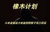 橡木计划，小投入撬动高回报的风口野路子项目，一天投入2小时左右